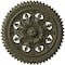 Ekena Millwork York Ceiling Medallion (Fits Canopies up to 3 5/8"), Hnd-Painted Painted Turtle, 21 5/8"OD x 2 1/2"P CM21YOPTF - alternate 1